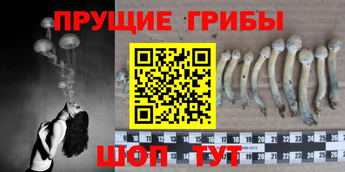 Псилоцибиновые грибы GOLDEN TEACHER  Вход с VPN  Апрелевка 